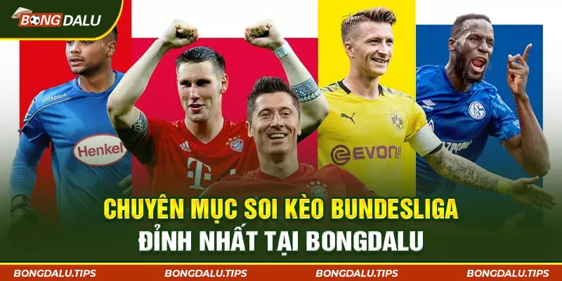 Chuyên mục Soi kèo Bundesliga đỉnh nhất tại BongdaLu