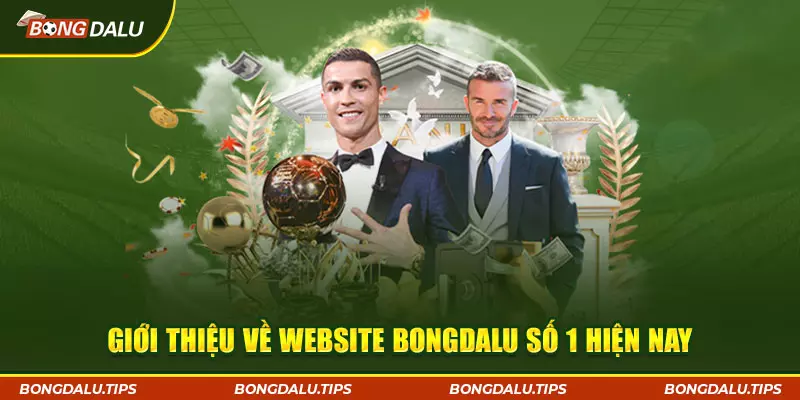 Giới thiệu về website Bongdalu số 1 hiện nay 